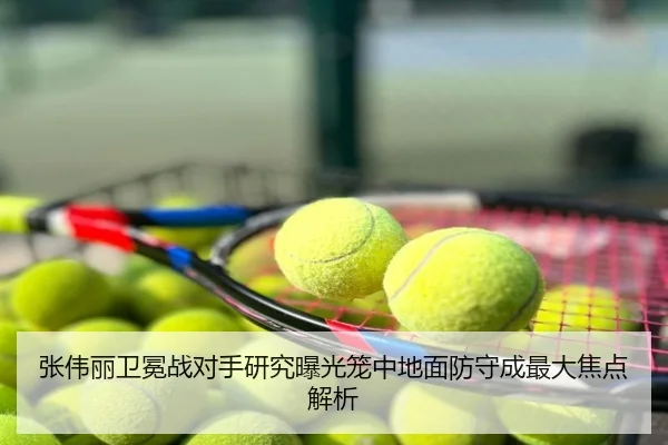 张伟丽卫冕战对手研究曝光笼中地面防守成最大焦点解析