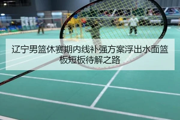 辽宁男篮休赛期内线补强方案浮出水面篮板短板待解之路