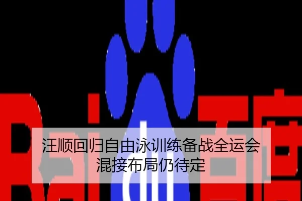 汪顺回归自由泳训练备战全运会 混接布局仍待定
