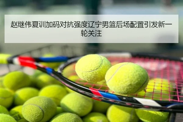 赵继伟夏训加码对抗强度辽宁男篮后场配置引发新一轮关注